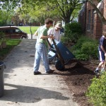 Mulching at the Spring clean-up